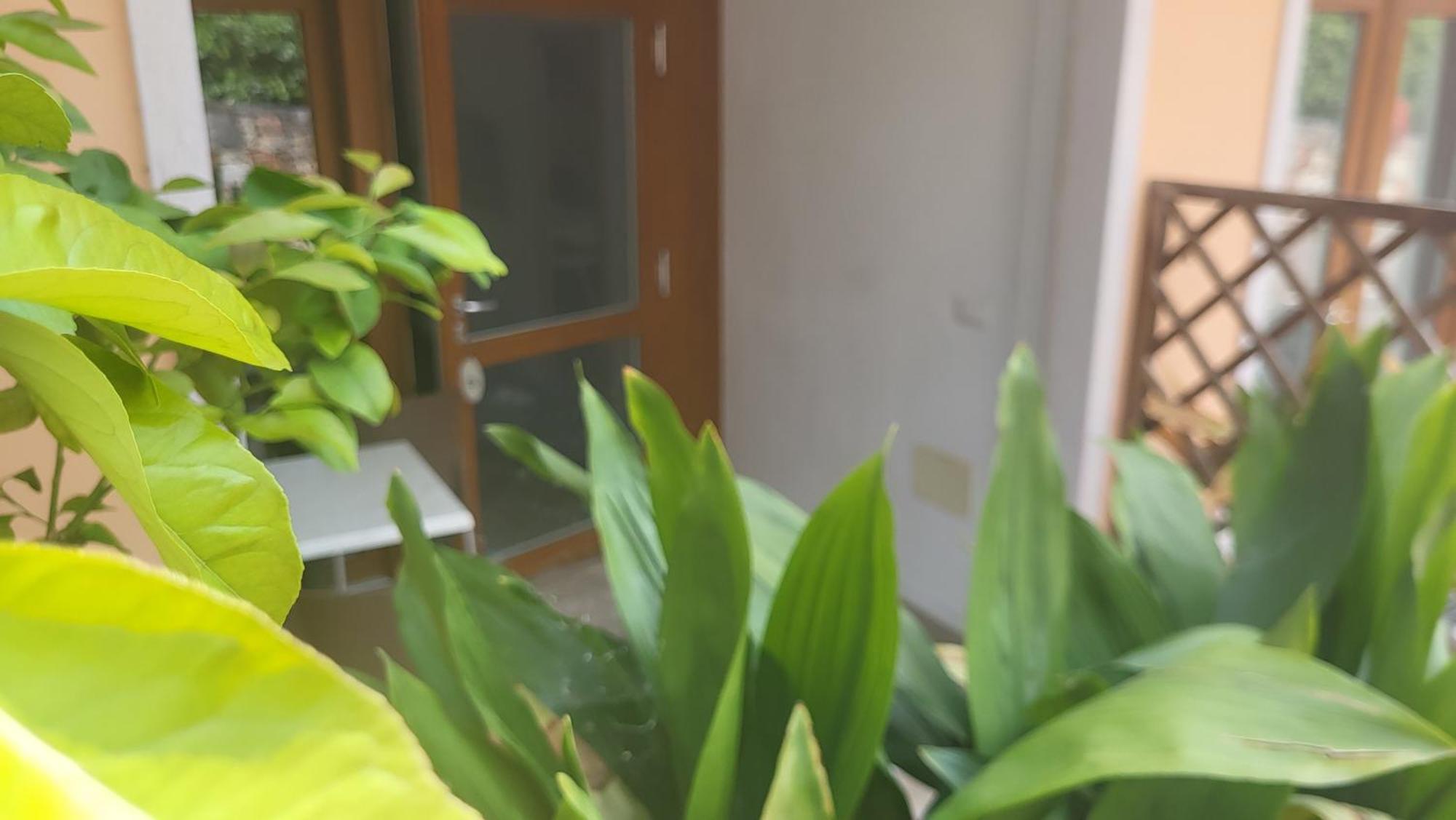 玛格丽特公寓式酒店 布雷佐内加尔达 外观 照片